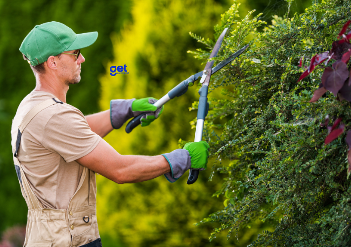 Empresas de Jardinagem que Vendem Online